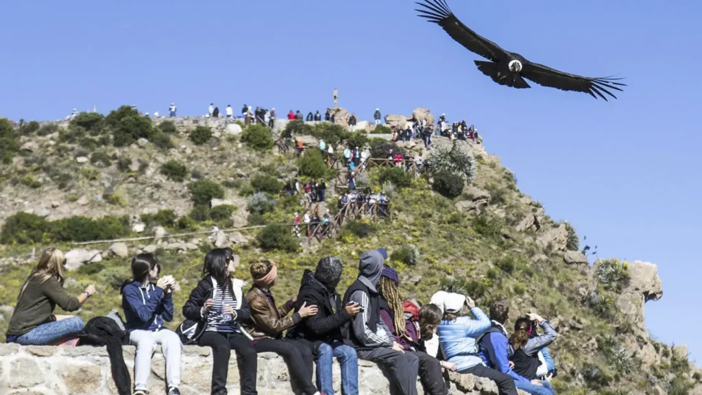 Cómo visitar el Cañón del Colca