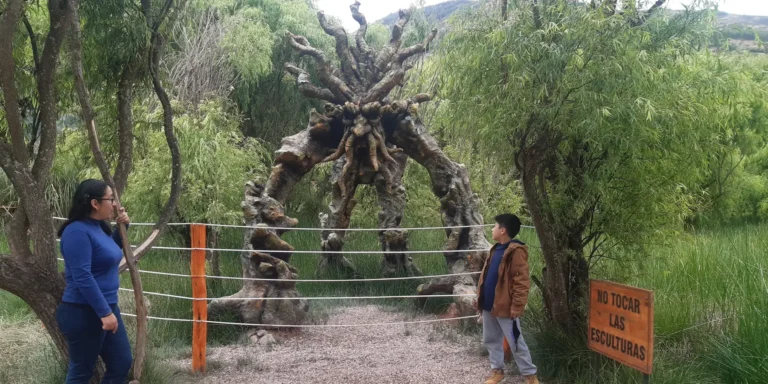 An artistic tree sculpture with intertwined roots and branches in the Huasao Wetland, Cusco, Peru. It is surrounded by a metal fence and a sign reads "Do not touch the sculptures." Surrounding it is dense vegetation of willows and reeds, typical of Andean wetlands. Two people—an adult and a child—observe the work from close up, admiring its symbolic design. The site is an ecological space dedicated to nature conservation, art, and environmental education.