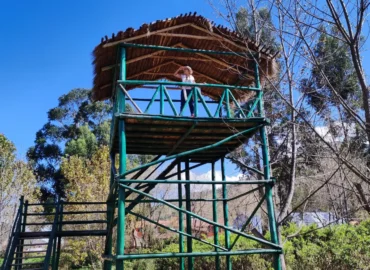 Tourists at an observation tower in the Huasao Wetland, Cusco, Peru. The thatched wooden structure is elevated above the ground, surrounded by trees and native vegetation under a clear blue sky. From the platform, you can enjoy sweeping views of the natural surroundings, ideal for birdwatching and ecotourism activities. The Huasao Wetland is a protected area that promotes biodiversity conservation and connection with Andean nature.