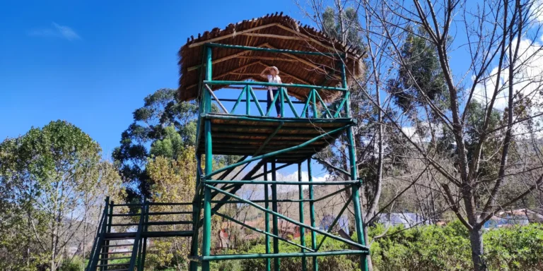 Tourists at an observation tower in the Huasao Wetland, Cusco, Peru. The thatched wooden structure is elevated above the ground, surrounded by trees and native vegetation under a clear blue sky. From the platform, you can enjoy sweeping views of the natural surroundings, ideal for birdwatching and ecotourism activities. The Huasao Wetland is a protected area that promotes biodiversity conservation and connection with Andean nature.