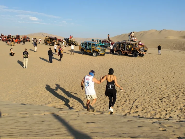 Tour Full Day Paracas – Huacachina