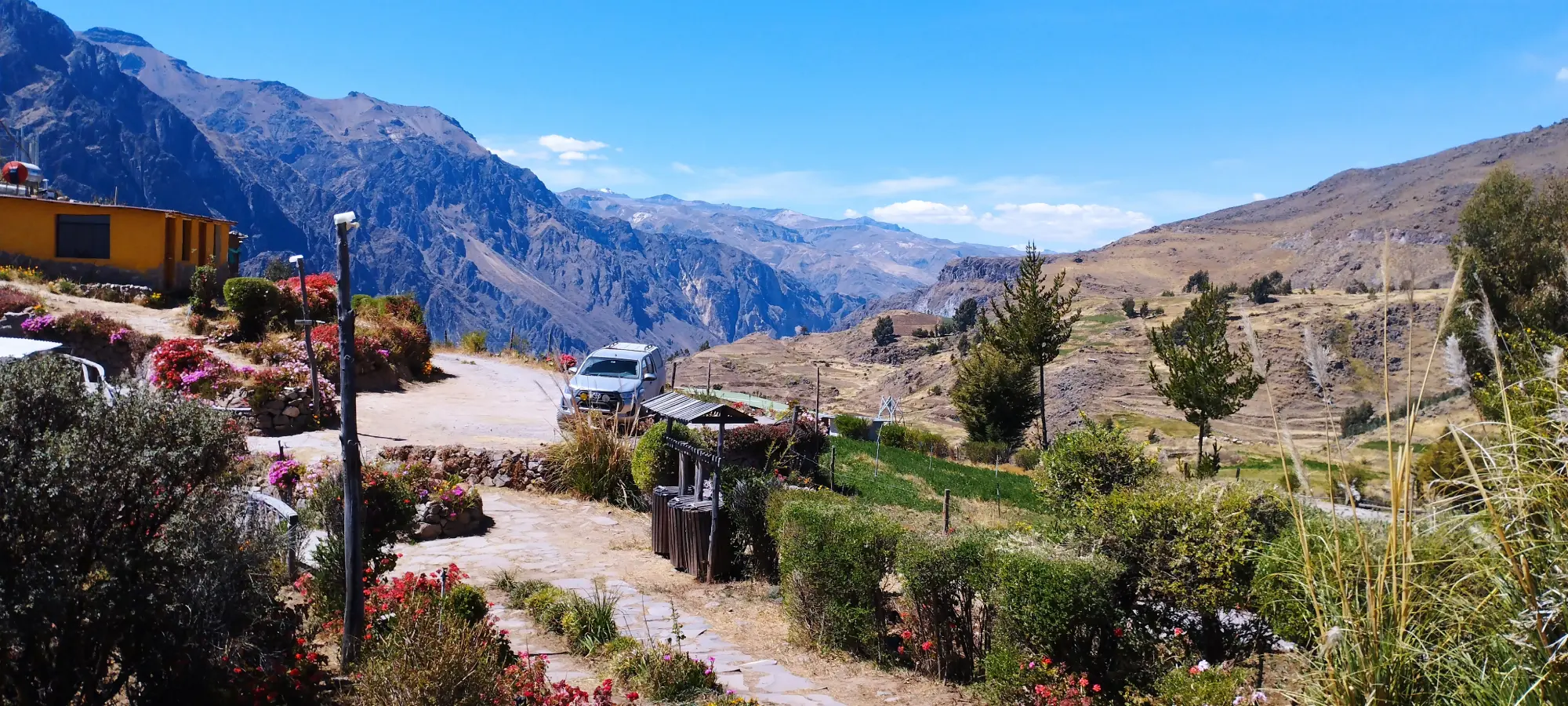 How to Visit the Colca Canyon: Viewpoints, Tours, and Guide