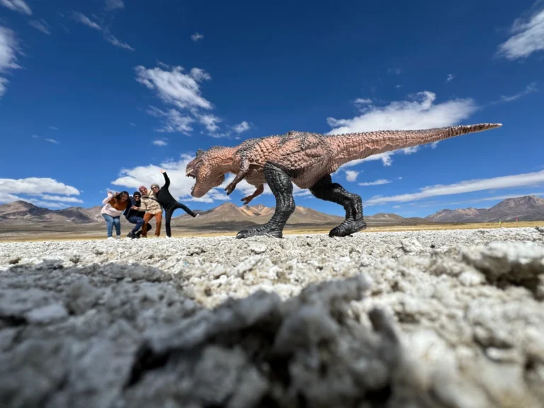 Um dia inesquecível na Reserva Nacional Salinas e Aguada Blanca de Arequipa