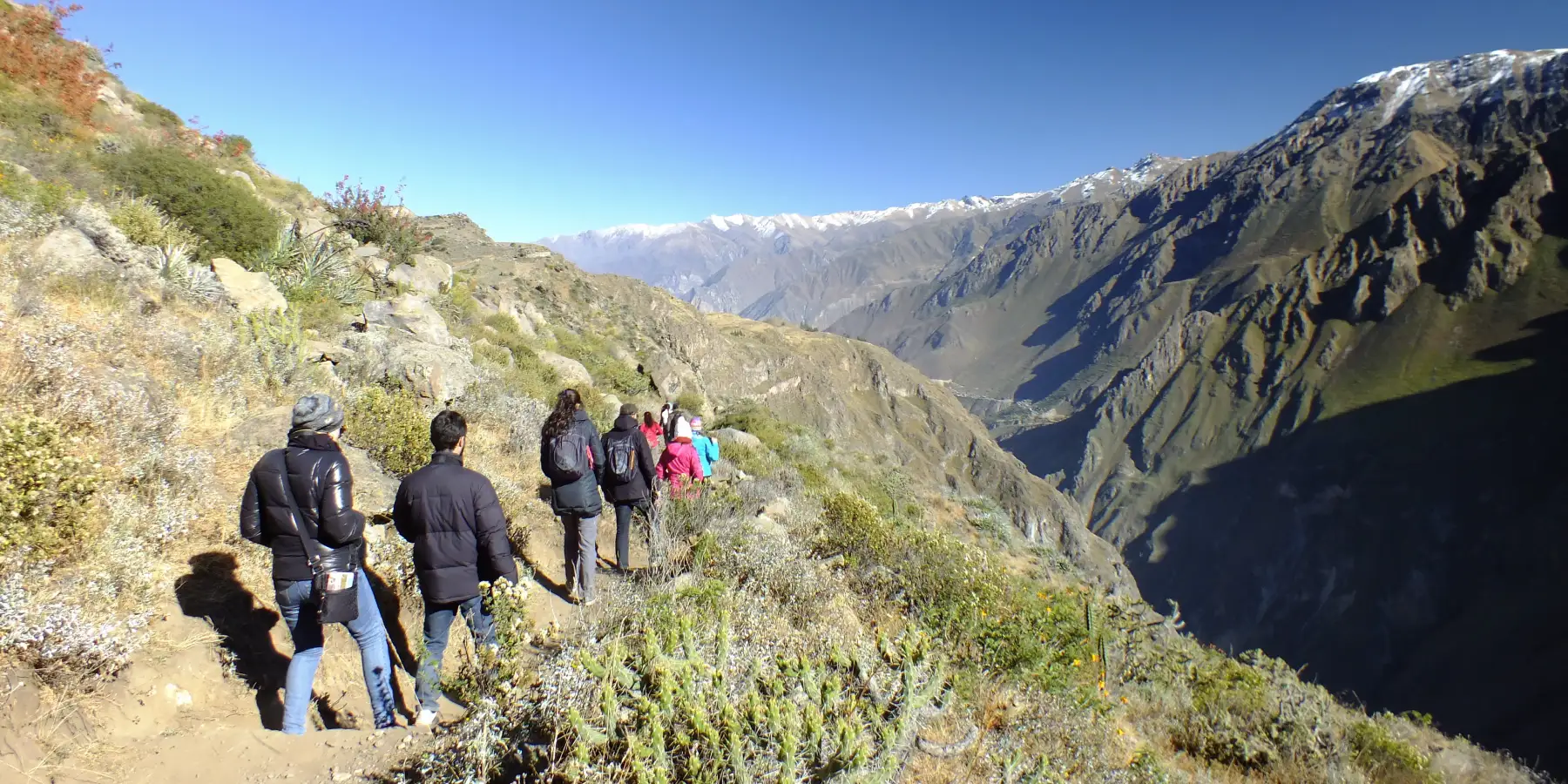 Cânion do Colca e Cruz do Condor: O Vale Mais Profundo do Mundo e os Voos dos Condores