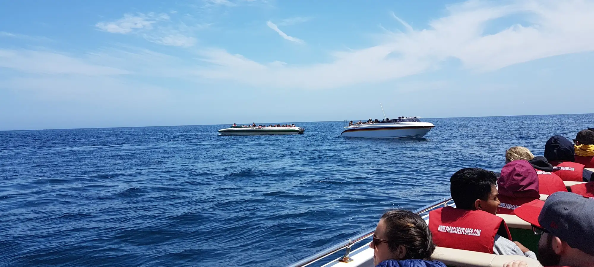 Paracas: qué ver, qué hacer y cómo visitar las Islas Ballestas