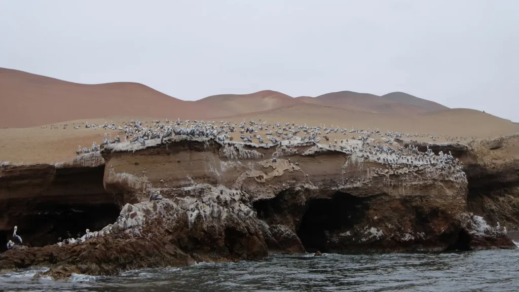 Paracas: qué ver, qué hacer y cómo visitar las Islas Ballestas