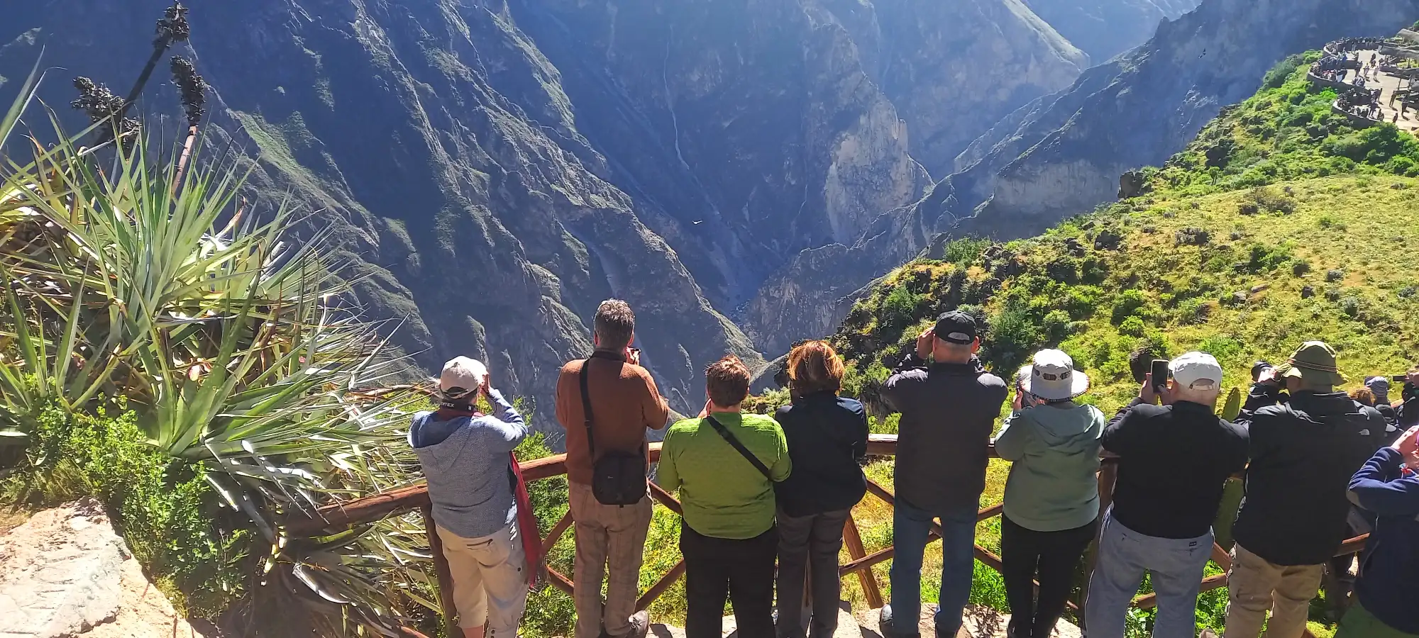 Cañón del Colca: cómo llegar, mejores tours y qué ver